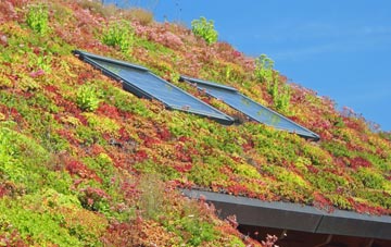 Pen Common living roof systems