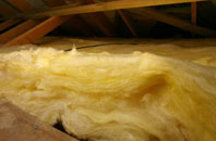 Pen Common pitch roof insulation